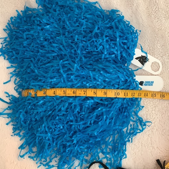 Carolina Panthers Mini Pom Poms, Bead Necklaces, Fleece Scarf - Picture 3 of 11